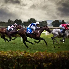 horse racing icon