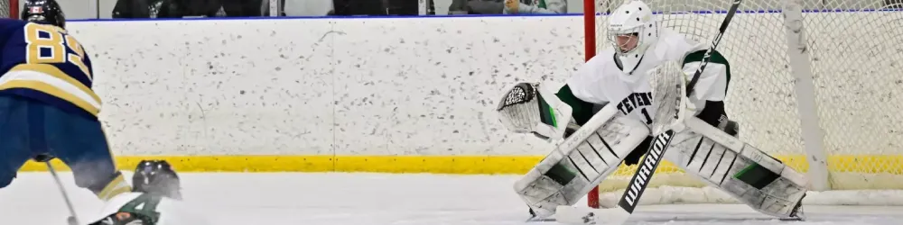 ice hockey player who defends the ball