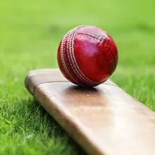 cricket icon