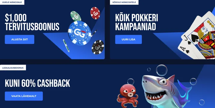 olybet casino poker