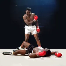 boxing icon