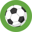 soccer ball icon